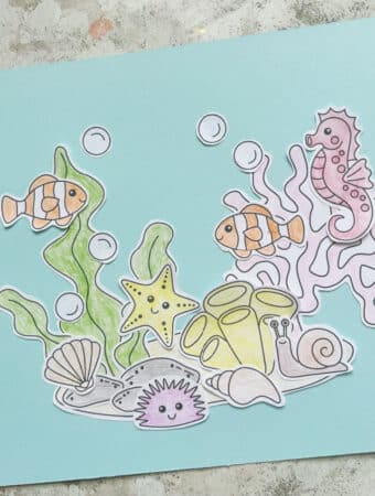 coral reef craft
