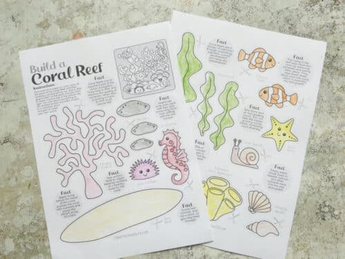 Coral Reef Craft: FREE Printable - Crafts on Sea