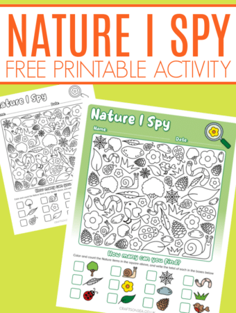 nature i spy worksheet free printable