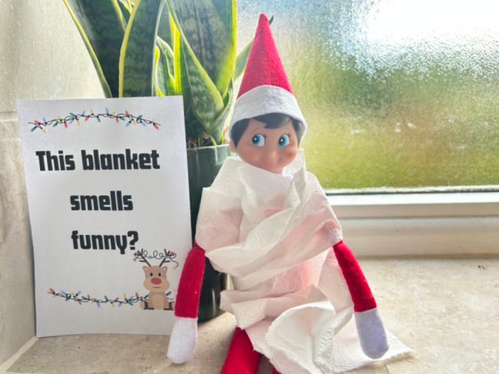 quick elf on the shelf idea with a toilet roll blanket
