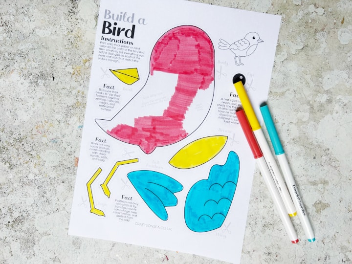Colouring a printable bird craft template