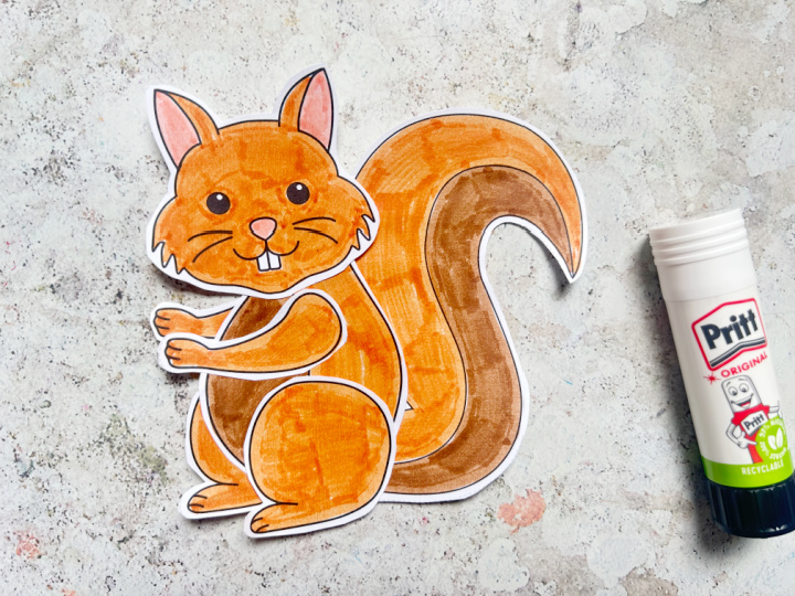 assembling the squirrel craft