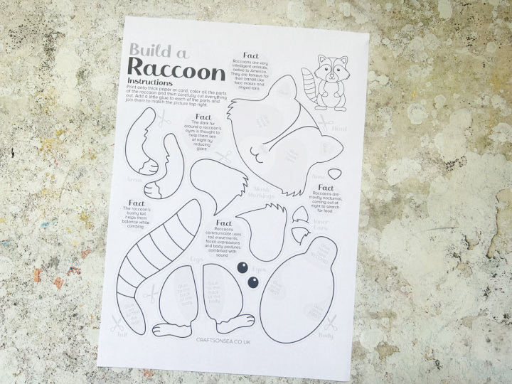 build a raccoon craft template printed onto white paper