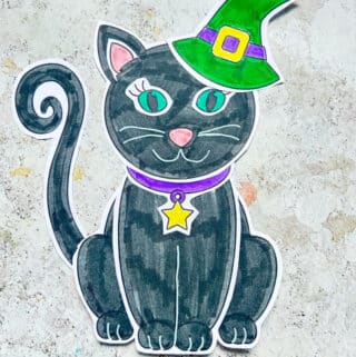 build a witch's cat craft made using a free printable