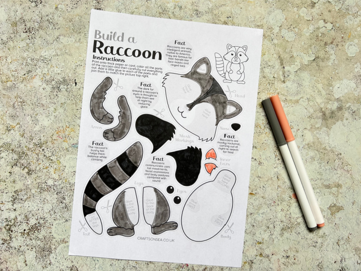 colored in raccoon craft using grey and black markers