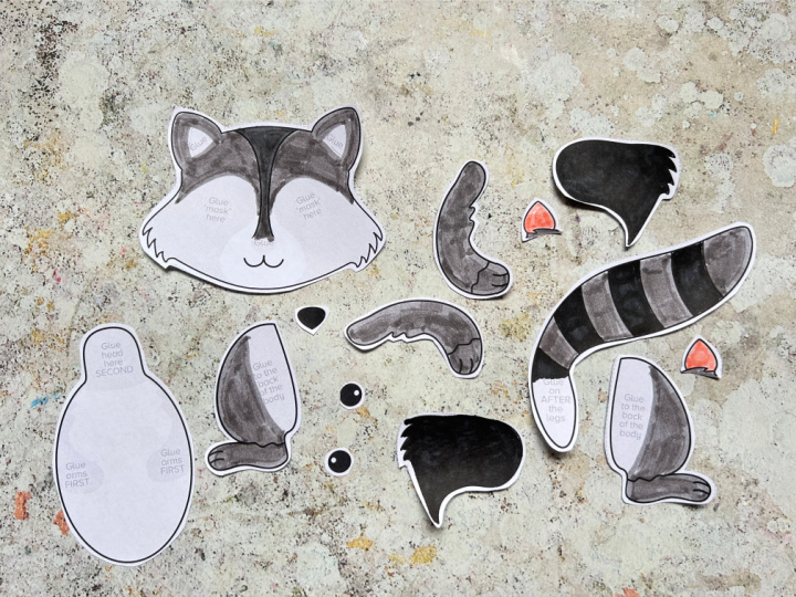 cut out pieces of the raccoon craft