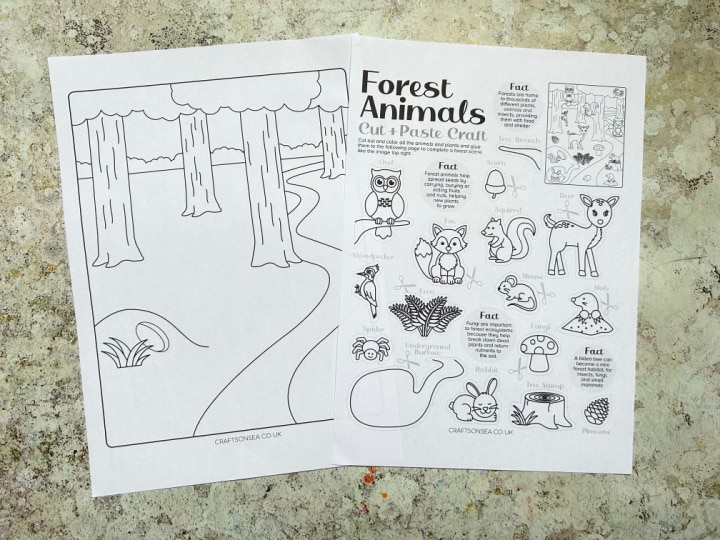 forest animals printable on white paper