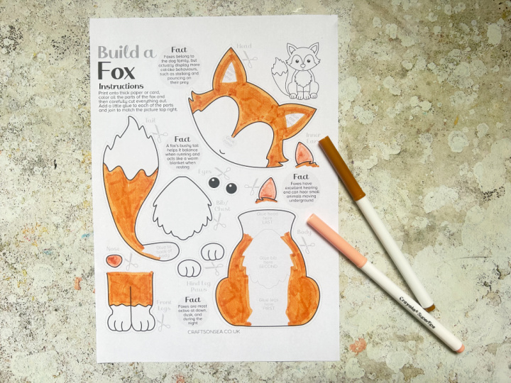 colored in printable fox craft