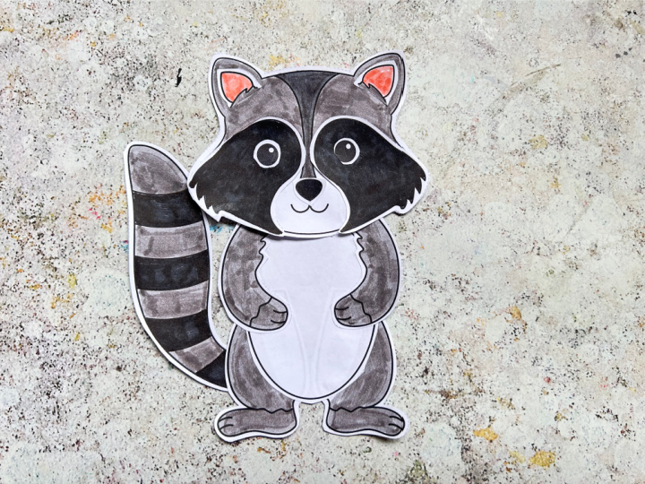 finished raccoon craft 