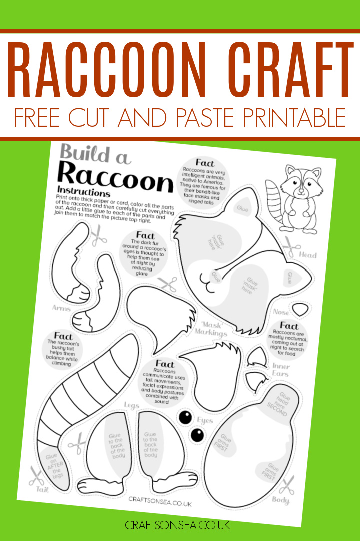 printable raccoon craft for kids