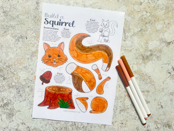 colored in squirrel craft printable