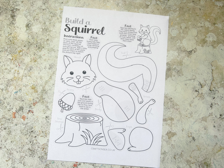 squirrel craft template printed onto white paper