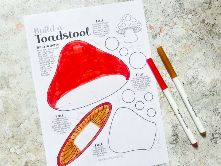 toadstool craft colored in with markers