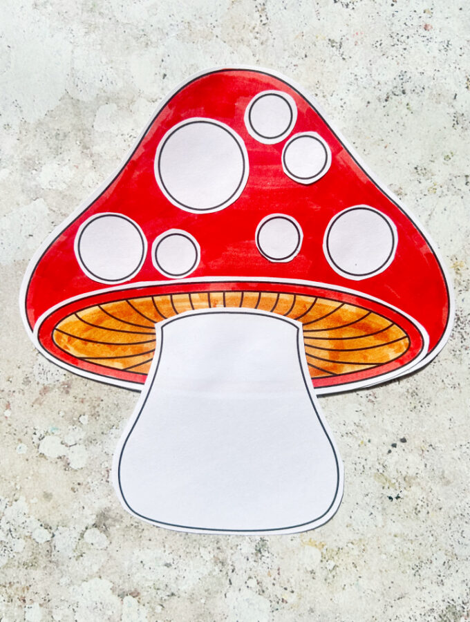 finished build a toadstool craft