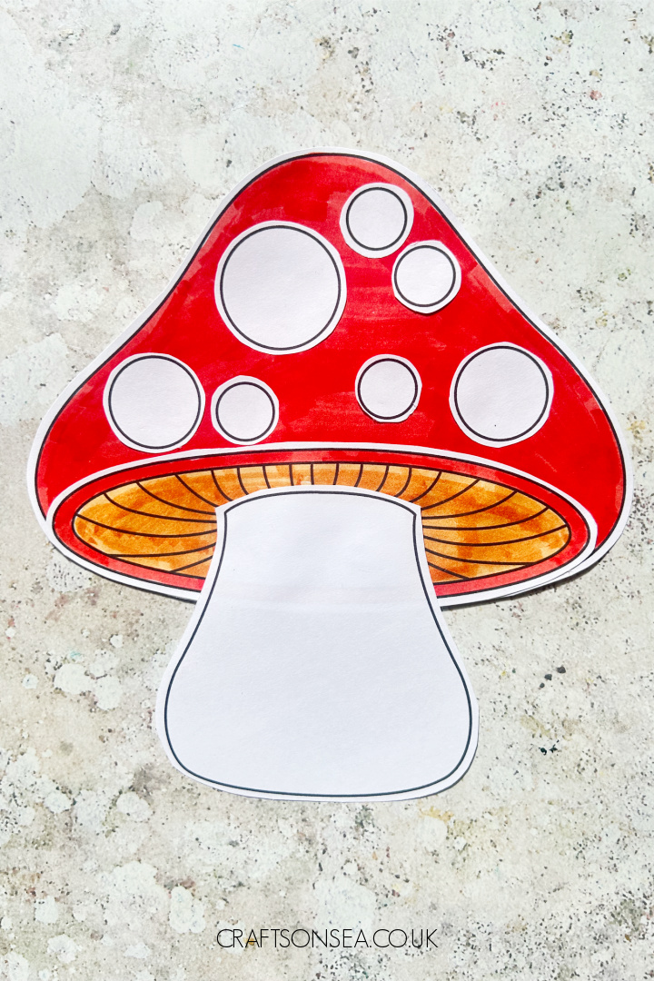 finished build a toadstool craft