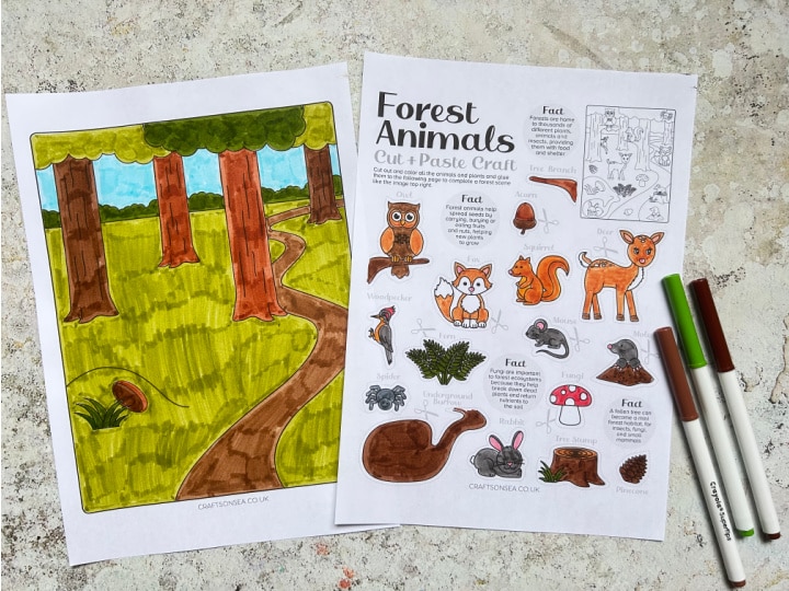 woodland animal craft colored in with markers