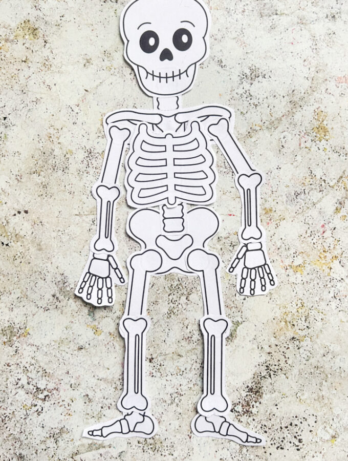 build a skeleton halloween craft printable