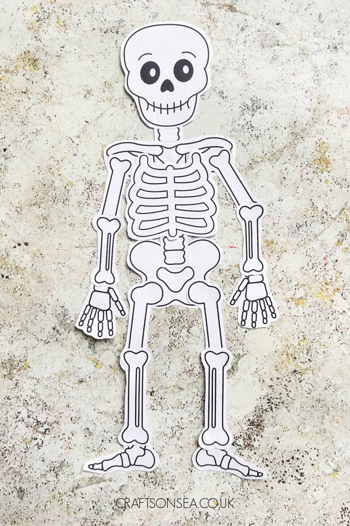 build a skeleton halloween craft printable