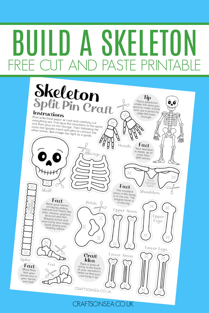 cut and paste skeleton craft printable