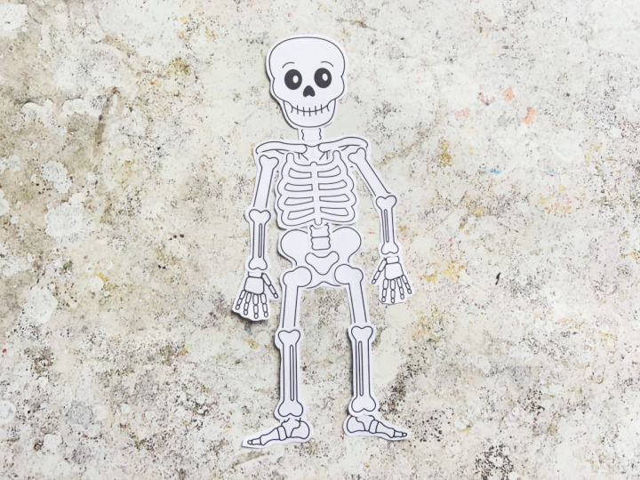 finished cut and paste build a skeleton craft