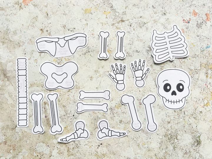 cut out pieces of the skeleton craft